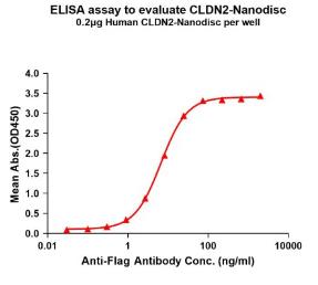 Activity Data (CLDN2-2948H).jpg